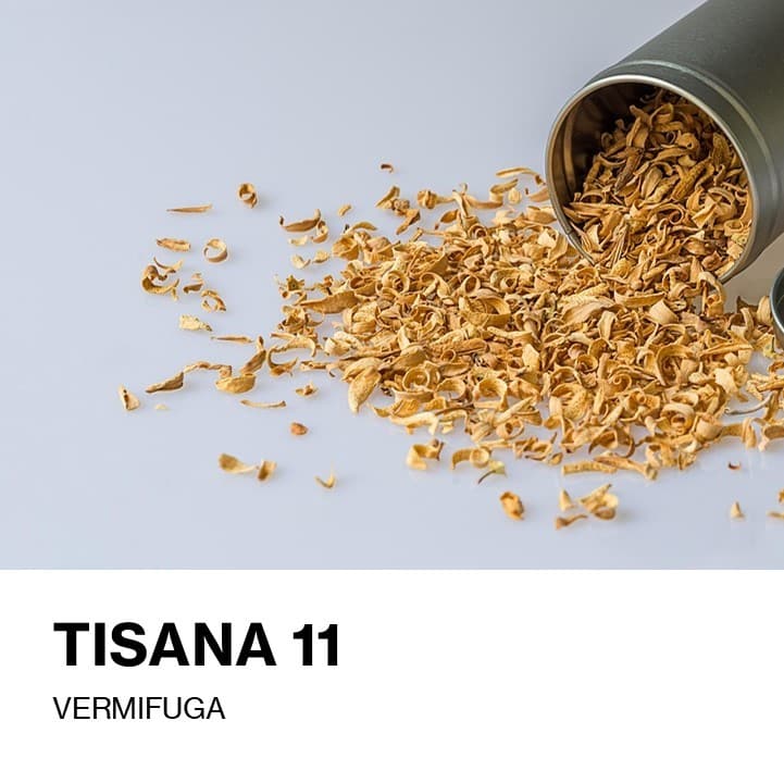 Tisana n. 11 Tisana n° 11 – VERMIFUGA
